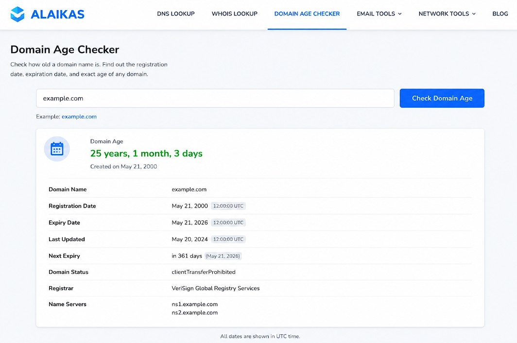 Domain age checker tool interface